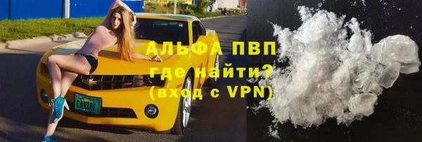 эйфоретик Баксан