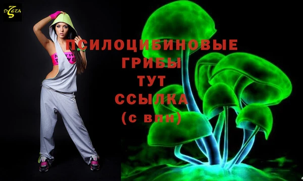 сатива Сафоново