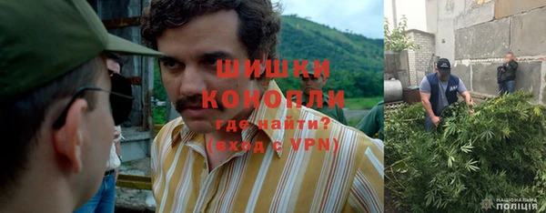 эйфоретик Баксан