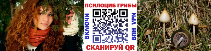 Псилоцибиновые грибы MAGIC MUSHROOMS  Короча 